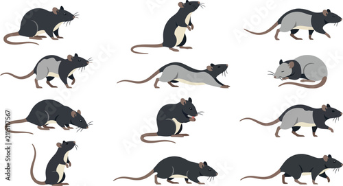 Detailed flat vector collection of rat illustrations showing various dynamic poses and natural mouse behavior sets