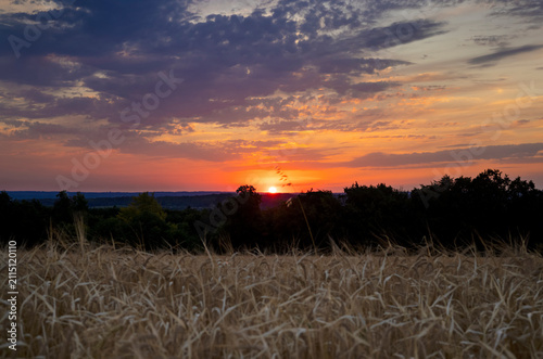 Colorful sunset over golden wheat field with dramatic cloudscape in the rural countryside