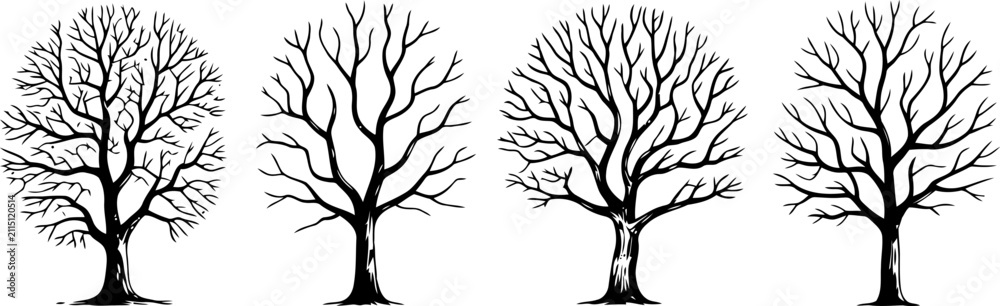 Fototapeta premium A collection of four hand drawn black and white tree illustrations isolated on a plain white background for design