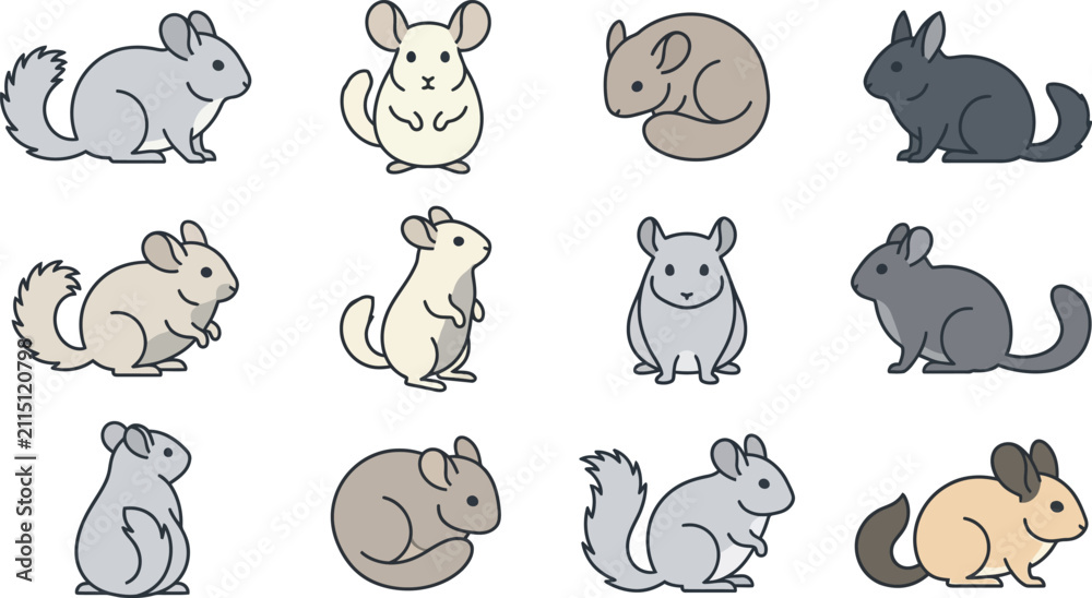 Fototapeta premium Flat vector collection of adorable chinchillas in various sitting and standing poses isolated on white background