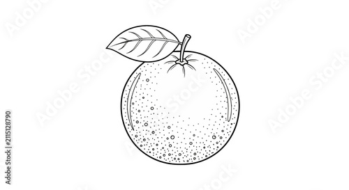 Quadro su tela Fresh orange fruit with leaf in line art