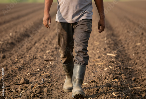 Farmer walking through a fr...