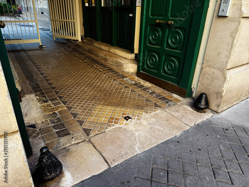 Fotografie Green doorway and tiled entrance of a Paris, France apartment building with deco