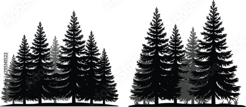 Evergreen pine forest silhouette collection, conifer tree landscape vector illustration isolated on white background for natural scenery