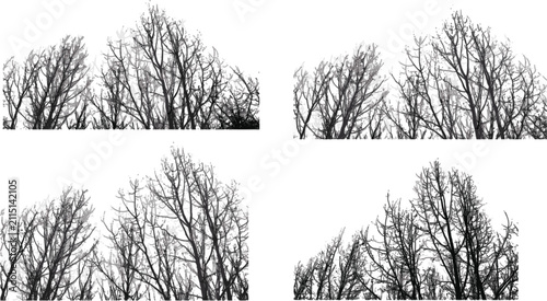 Bild auf Leinwand Leafless tree border silhouette collection, bare forest branch frames vector ill