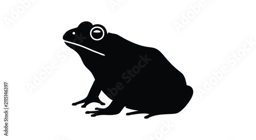 Fotografie Frog silhouette on white background animal amphibian
