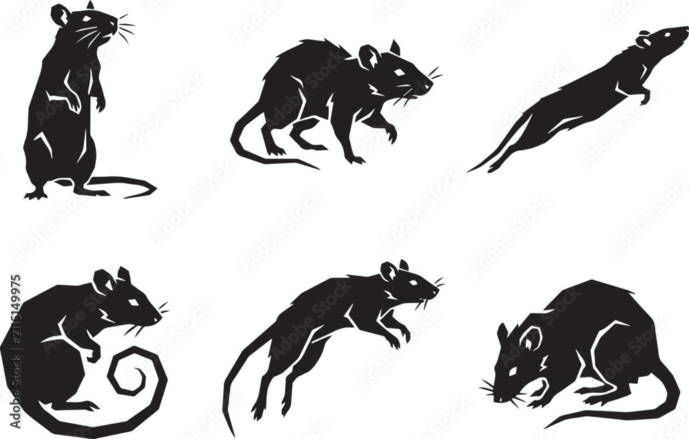 Naklejka premium A set of rats. Hand drawn vector illustration