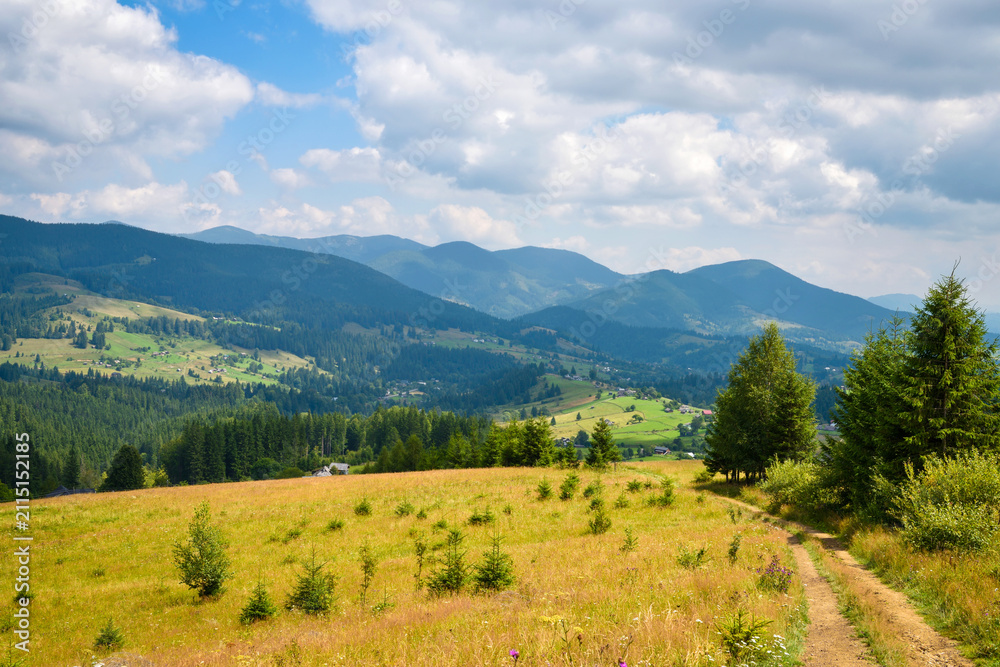 Fototapeta premium Scenic mountain landscape with green forest, meadow, country road and cloudy blue summer sky