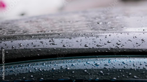Raindrops on glossy dark vehicle exterior. Detailed view of water droplets forming beads on shiny dark automobile surface