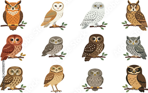 Collection of different owl species in flat vector design showing various birds of prey sitting on tree branches