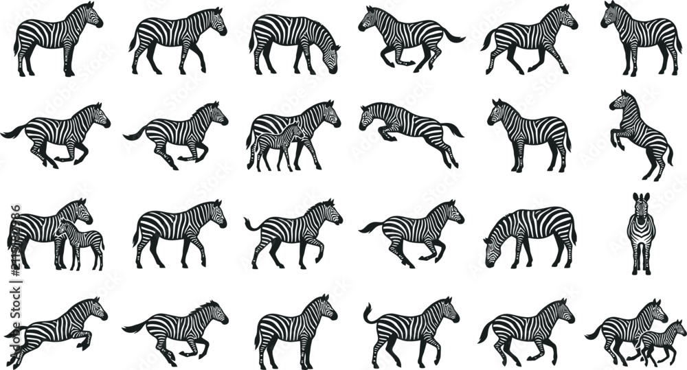 Obraz premium Comprehensive collection of flat vector zebra illustrations featuring dynamic poses and natural animal behaviors