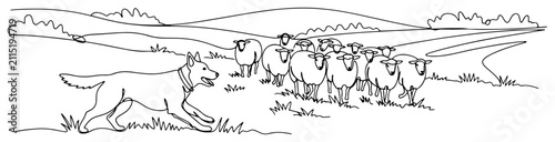 фотографія Shepherd dog herding flock of sheep in meadow landscape continuous line art draw