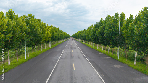 Canvas Print Straight asphalt highway lined with symmetrical green trees under cloudy sky