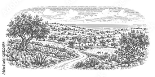 South Italian countryside with trulli houses and olive groves. Vintage woodcut engraving linocut style vector illustration.