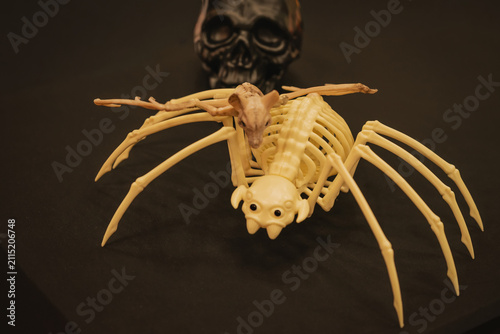 Obraz na płótnie Skeleton spider decoration with bat on black fabric beside skull prop, horror themed design