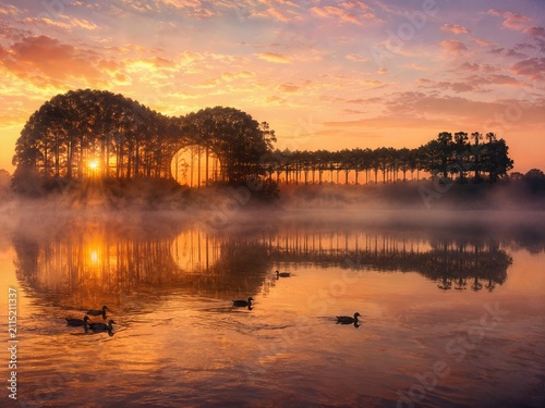 An enchanting silhouette of trees growing in the shape of a sideways guitar, where ducks glide across the water with mist beneath a glowing sunrise sky