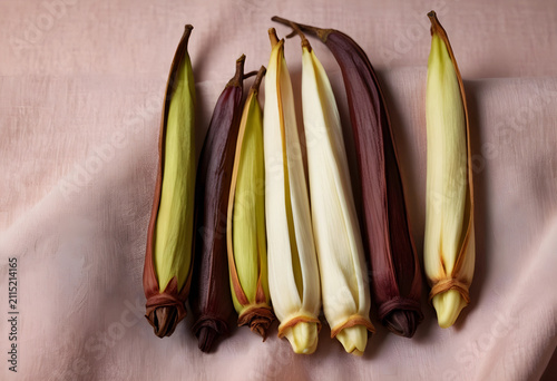 Six dried corn husks in var...