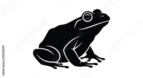 Foto frog silhouette on white background animal amphibian