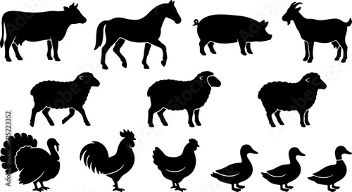 Canvastavla Collection of detailed black vector silhouettes depicting a variety of common do