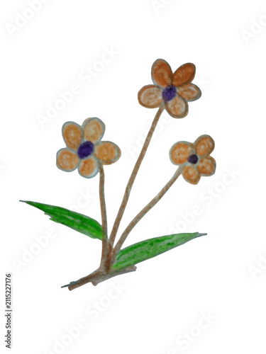 Hand drawn illustration of three small orange flowers