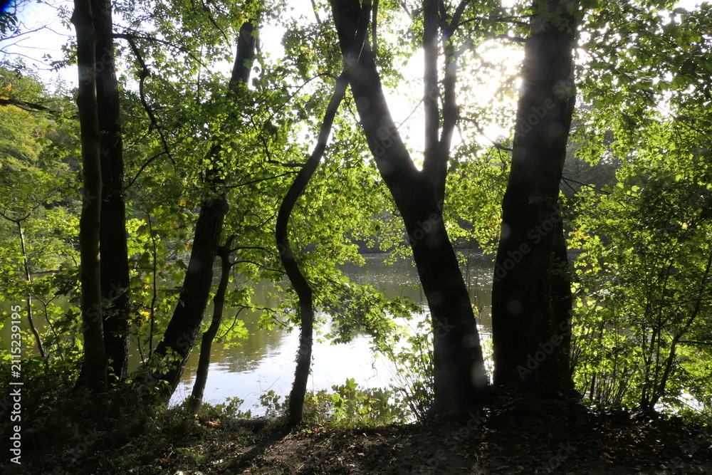 Fototapeta premium Buchrainweiher bei Offenbach
