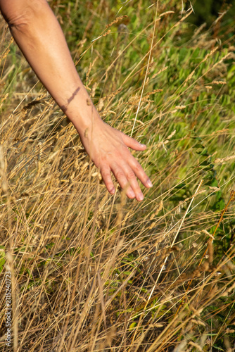 mano di donna chr accarezza l'erba