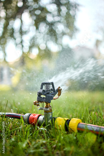 Foto Garden sprinkler spraying fine mist over lush green lawn in sunny backyard with