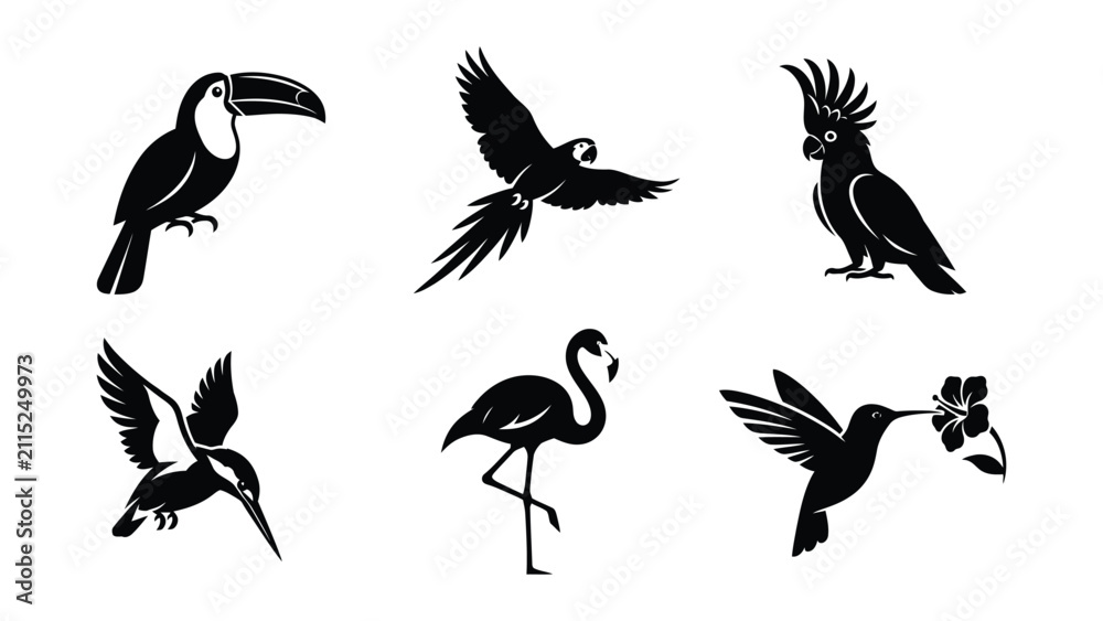 Fototapeta premium Black and white tropical birds illustration