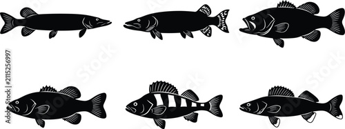 Freshwater Game Fish Silhouette Collection with Bass Pike Walleye and Perch Vector Set