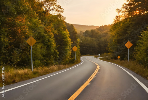 Winding road through a fore...