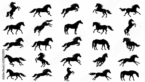 Fotografie Dynamic Horse Silhouette Vector Set, Running Jumping Rearing Horse Poses Collect