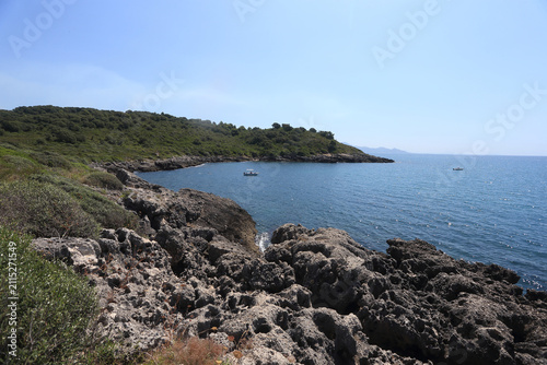 Obraz na plátne Scenic view of the rocky coast and Mediterranean vegetation along the Porto Cofa
