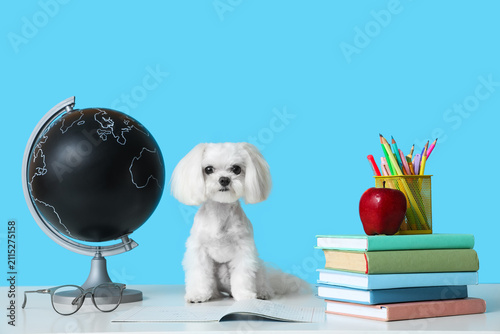 Cute Maltese dog with globe...