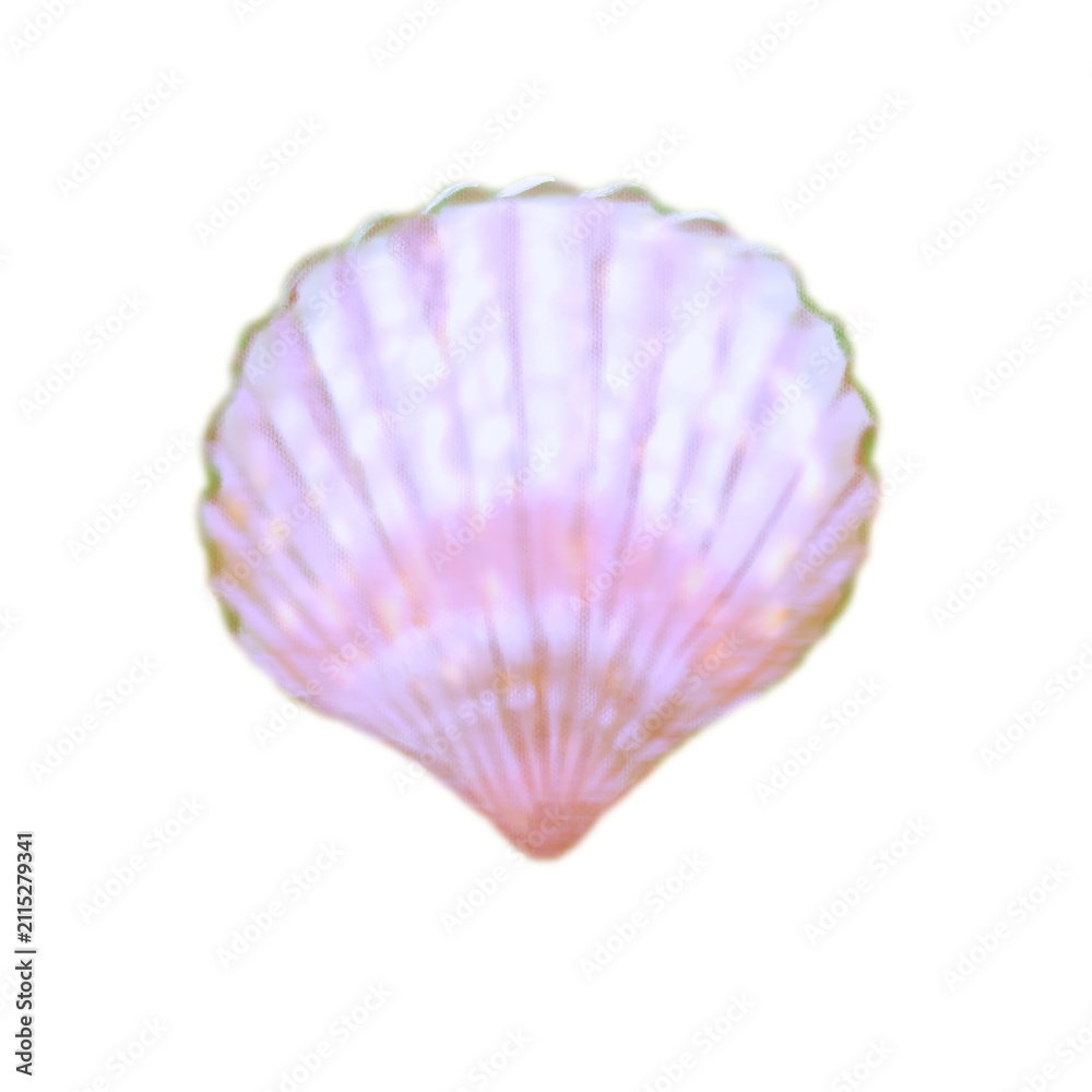 Fototapeta premium Stickers: Beautiful Seashell