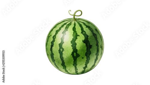 Konstfotografi Isolated ripe round green watermelon fruit with dark stripes and a small stem cu