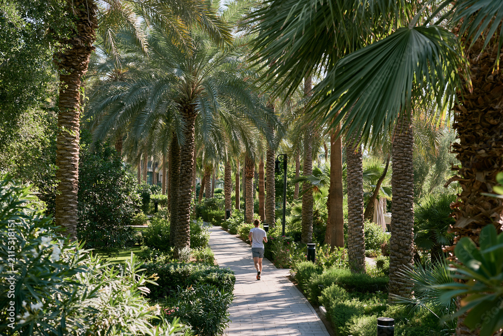 Fototapeta premium Hotel garden path with a guest jogging past palms