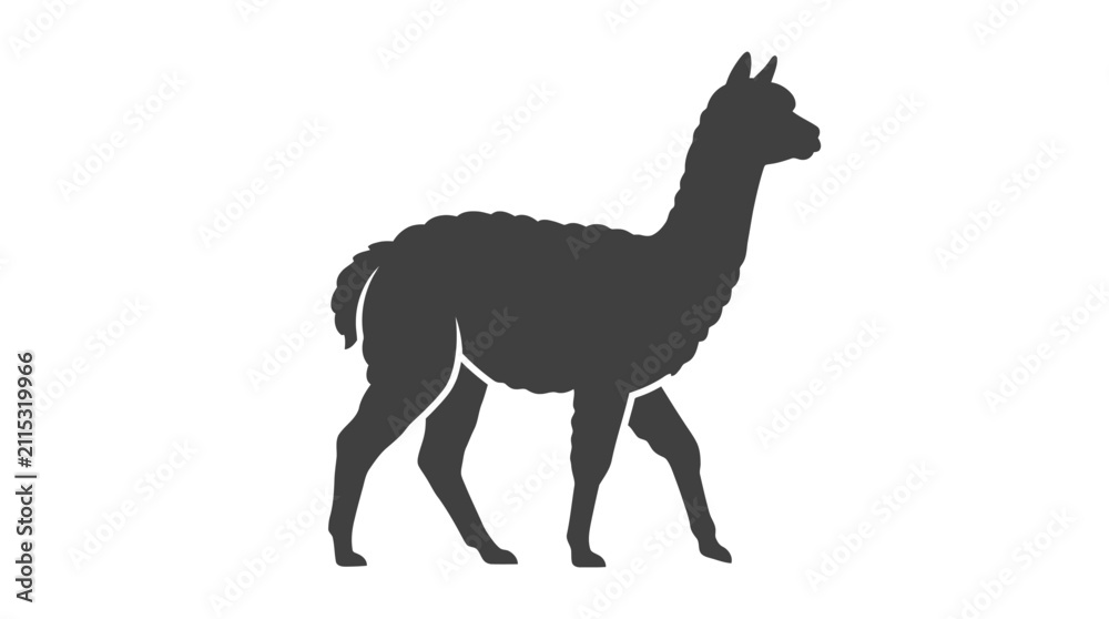 Obraz premium Silhouette of a walking llama against a white background