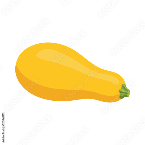 Konstfotografi Yellow Squash Vegetable Isolated on White Background.
