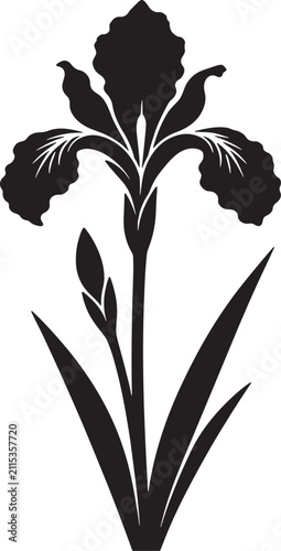 Iris flower vector silhouette illustration with silhouette botanical isolated minimalist decorative stencils ornament wildflower perennial