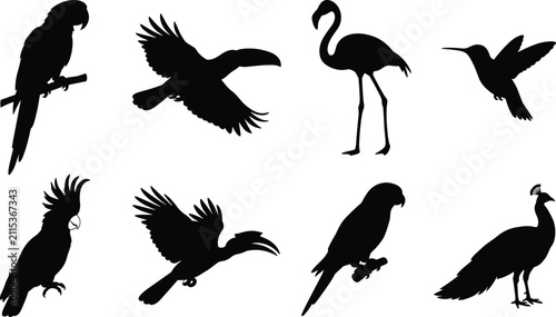 Photography Collection of exotic tropical bird silhouettes including macaw, flamingo, toucan, and peacock on white background
