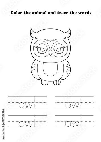 Learning Worksheet Owl Coloring Tracing Animal