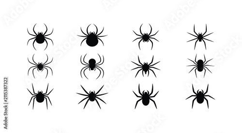 Bild auf Leinwand Spider icons, black arachnid silhouette collection with multiple leg position va