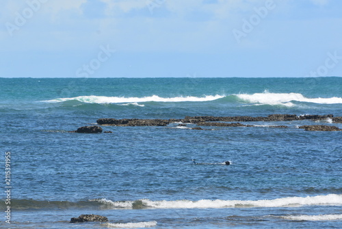 Cuadro en lienzo praia do forte - bahia