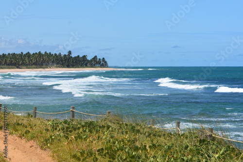 Bild auf Leinwand praia do forte - bahia