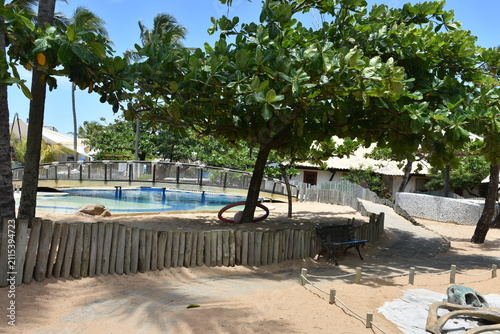 Bild auf Leinwand praia do forte - bahia