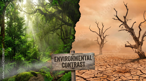 Composite image showing a vibrant green tropical forest on the left and a barren parched desert with dead trees on the right.
