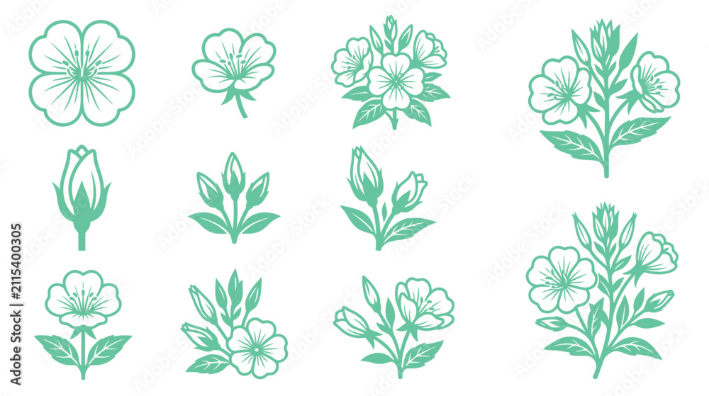 Fototapeta premium Floral Elements Collection, Botanical Illustration Icons