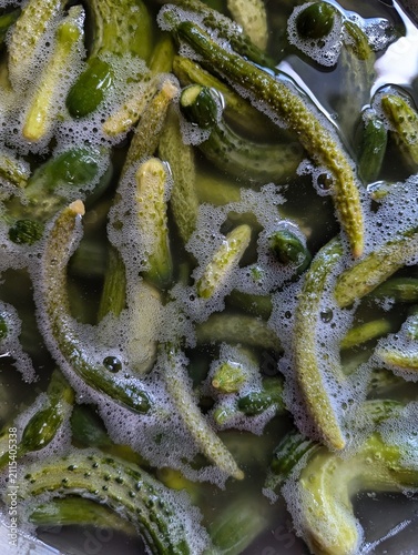 Foto A large amount of cucumbers soaking in a brine, fermenting, becoming pickles
