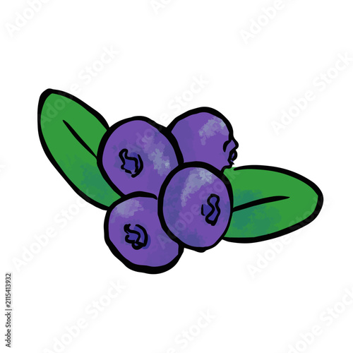 ブルーベリーの簡単手描きイラスト