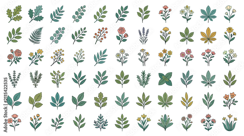 Fototapeta premium Botanical Elements Collection, Floral and Leafy Illustrations